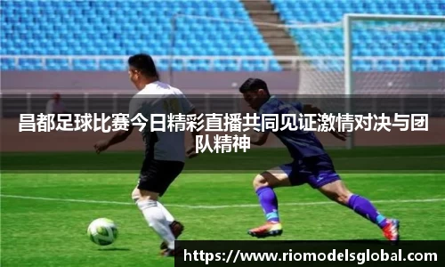 必博BIBO官网